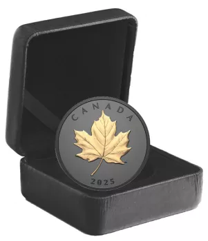 Preview: Originale Verpackung + Zertifikat