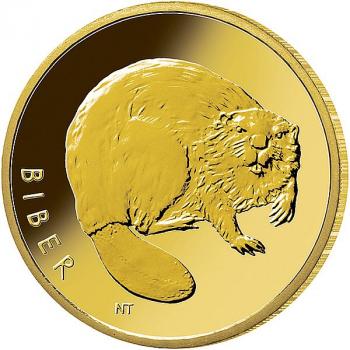Preview: BRD Serie - Rückkehr der Wildtiere "Biber" (3) Pb"G" Goldmünze 2024