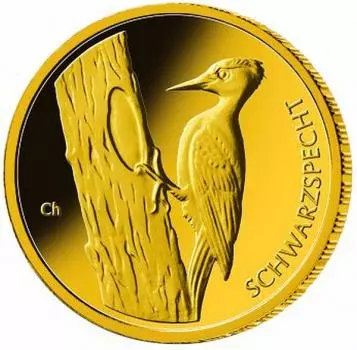 BRD Serie Heimische Vögel Schwarzspecht Pb A 20-Euro-Goldmünze 2021(6)