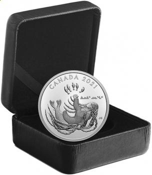 Preview: Etui, Zertifikat