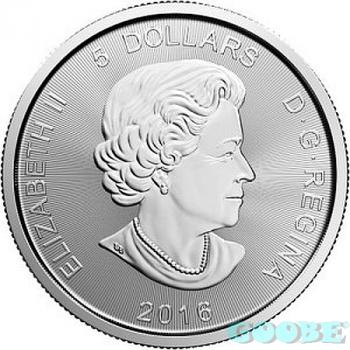 Preview: Puma 2016_reverse