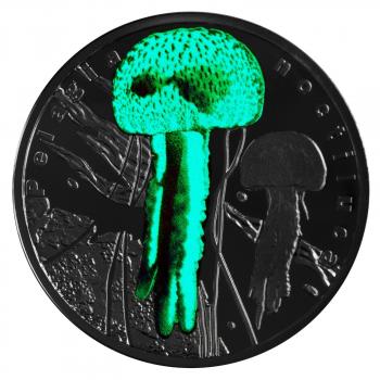 Preview: Bilddarstellung