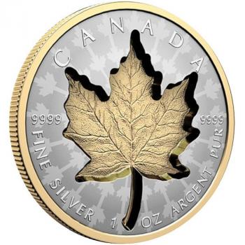 Preview: Bilddarstellung