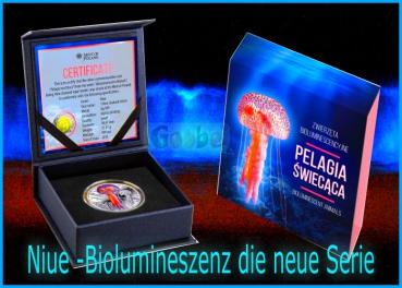 Preview: Etui, Zertifikat