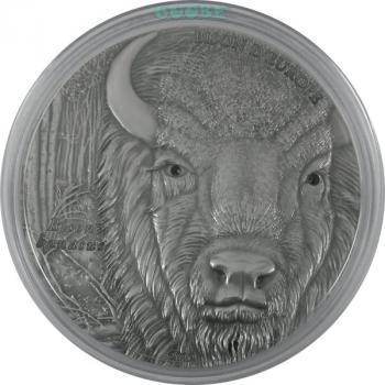 Preview: Republique Togolaise / Togo 1500 Francs Bison/Wisent 2012 2 Oz