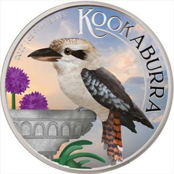 Preview: Australien Kookaburra farbig 1 oz Silber 2022 Silver coloured
