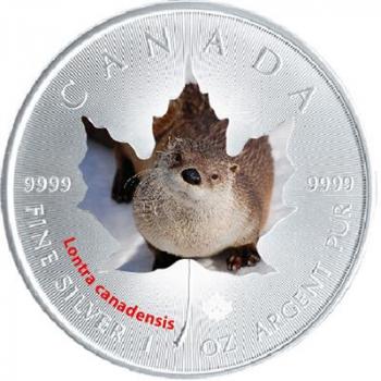 Preview: Kanadischer Fischotter