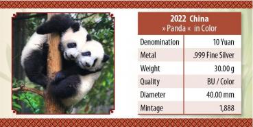 Preview: Zertifikatseite