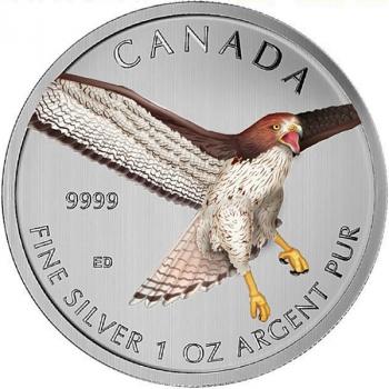 Preview: Kanada Rotschwanzbussard Red Tailed Hawk 1oz Silber 2015