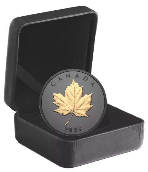 Originale Verpackung + Zertifikat