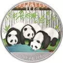 China Panda Bär farbig 10 Yuan 2013 Silber
